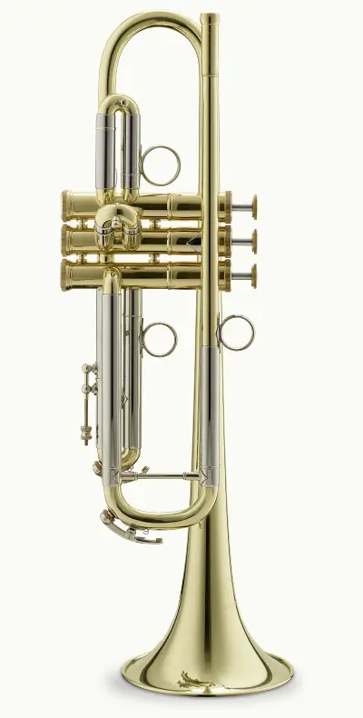 trumpet in b „licenza“