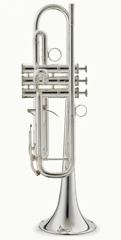 trumpet in b „licenza“