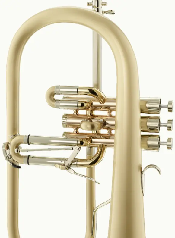 Detail flugelhorn in b, brushed