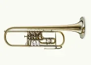 ​​Rotary valve trumpet