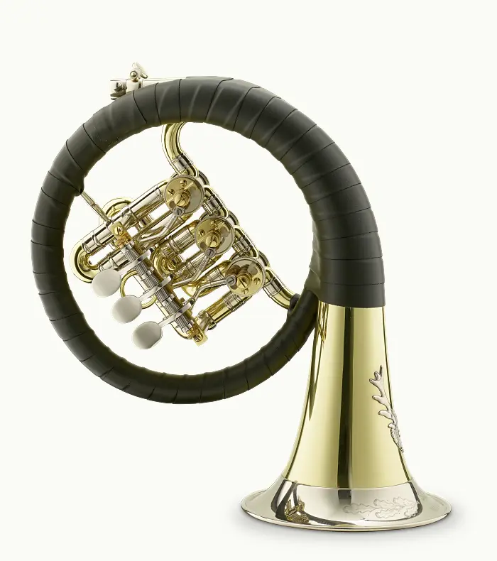 Fürst Plesshorn mit Zylindermaschine