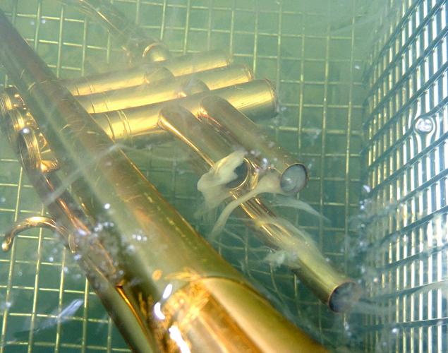 Instrumentenreiniung mit Ultraschall